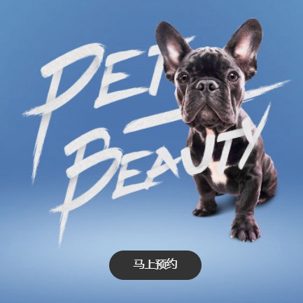 贵阳市宠物中心小程序开发